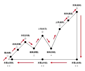 バイオリスムの周期サイクルを示す画像