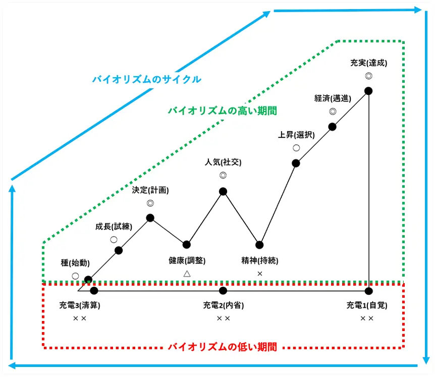 バイオリズムのグラフと周期図